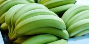 Fresh Green Banana