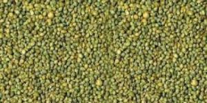 Green Milet