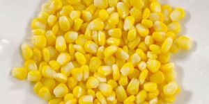 Yellow Maize Dulce