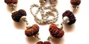 Rudraksha Indrakshi Mala
