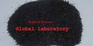 Organic Seaweed Fertilizer