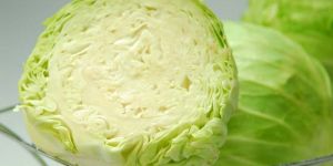 Fresh Cabbage