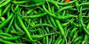 Fresh Green Chilli
