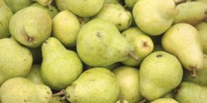 Fresh Pears