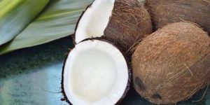 Fresh Coconut