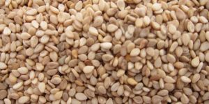 Sesame Seeds