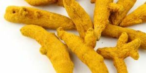 Turmeric Finger