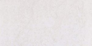 Double Charge Vitrified Tiles