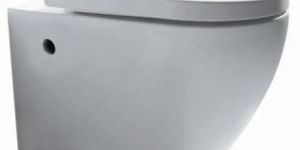 Sanitary Ware Toilet
