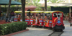 Amusement Train Ride
