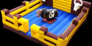 Mechanical Bull Ride Sqare