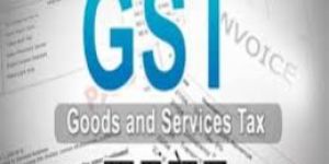 Good & Service Tax & Company Registration Consultant