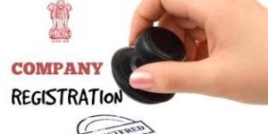 Udyog Adhar Registration Consultant Services