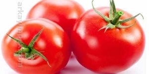 Fresh Red Tomato