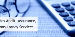 Business Tax Planning Services