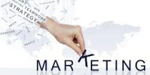 Marketing Consultants