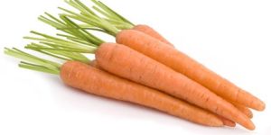 Fresh Carrot