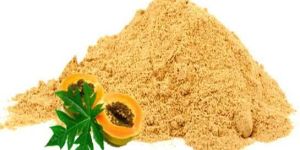 Dehydrated Papaya Powder