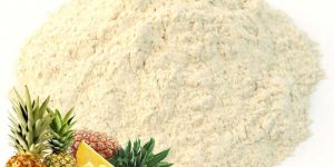 Dehydrated Pineapple Powder