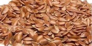 Flax Seeds