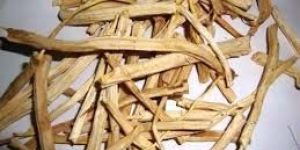 Indian Asparagus