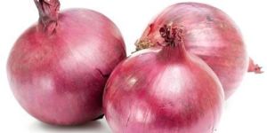 Fresh Onion