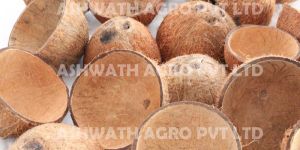 Coconut Shell