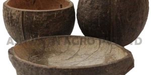 Eco Friendly Coconut Shell Cups