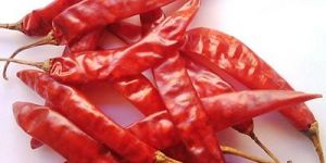 Dried Byadgi Red Chilli