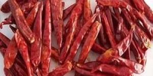 Dried Guntur Red Chilli