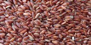 Red Rice