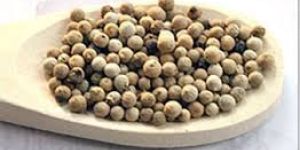 White Pepper Seeds