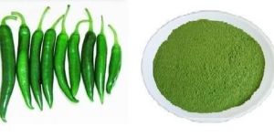 Dehydrated Green Chilli Powder