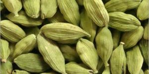 Cardamom