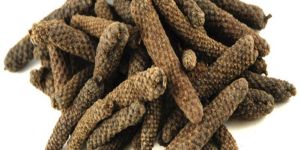 Long Pepper