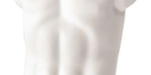 Male Torso
