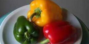 Capsicum