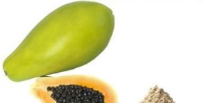 Papaya Powder