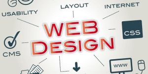 WEB DESIGNING SOFTWARE DEVELOPMENT
