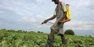 Biochemical Pesticides