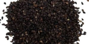 Black Sesame Seed