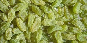 Green Raisins