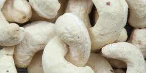 Processed Cashew Nuts