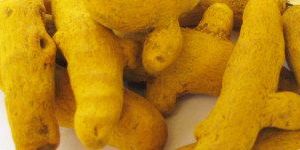 Turmeric Finger