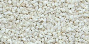 White Sesame Seeds