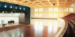 Auditorium Wooden Floorings