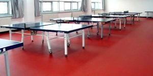 Table Tennis Wooden Floorings