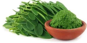 Moringa Leaf Powder