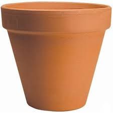 Terracotta Pot