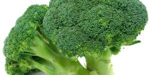 Fresh Broccoli